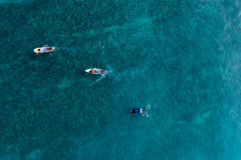 a group of people swimming in the ocean, by Emma Andijewska, pexels contest winner, figuration libre, small canoes, helicopter view, sup, thumbnail