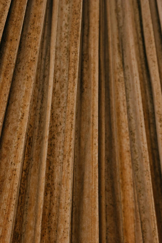 a close up of a bunch of metal rods, a digital rendering, inspired by Inshō Dōmoto, unsplash, renaissance, tropical wood, high textured, brown stubble, detailed product image