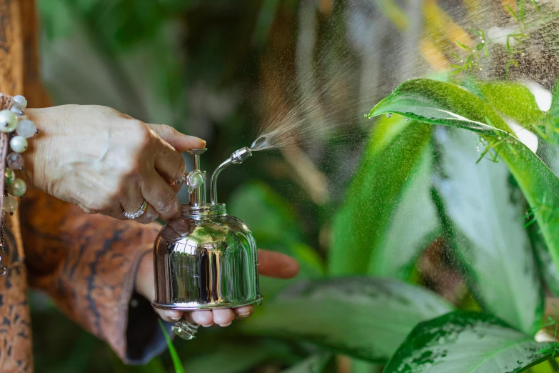a close up of a person spraying water on a plant, by Julia Pishtar, theophanic atmospheric vivarium, shiny silver, thumbnail, pot