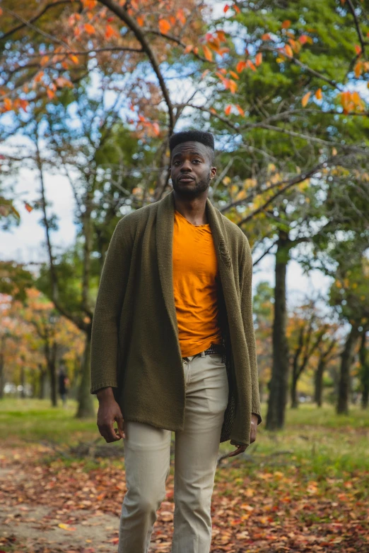 a man walking down a path in a park, an album cover, by Stokely Webster, pexels contest winner, renaissance, he is wearing a brown sweater, yasuke 5 0 0 px models, brightly colored, jaylen brown