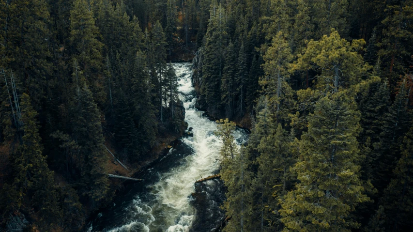 a river running through a forest filled with trees, by Jesper Knudsen, pexels contest winner, hurufiyya, white water rapids, pine trees, thumbnail, wide high angle view