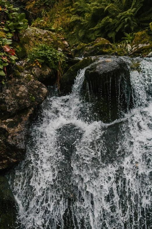 a waterfall in the middle of a lush green forest, an album cover, pexels contest winner, turbulent water, high angle close up shot, taken with sony alpha 9, stream flowing through the house