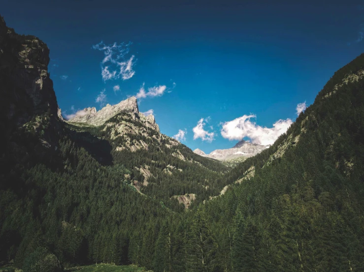 a view of a valley with a mountain in the background, pexels contest winner, les nabis, pine trees in the background, clear blue skies, guillaume tholly, low angle photograph