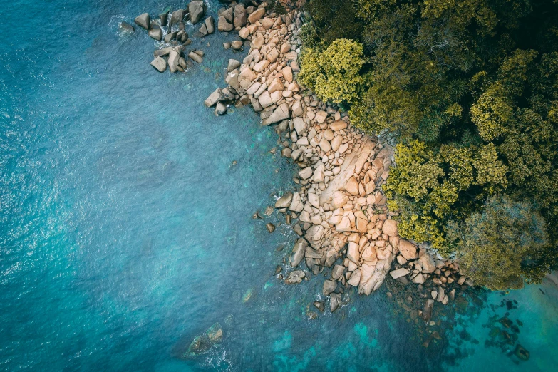 a body of water surrounded by rocks and trees, by Lee Loughridge, unsplash contest winner, visual art, great barrier reef, bird\'s eye view, deep texture, tessellated planes of rock