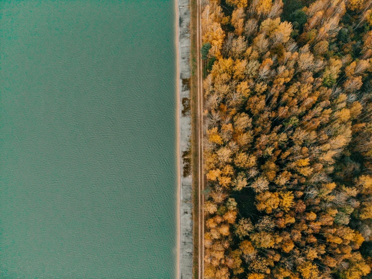 an aerial view of a road next to a body of water, by Jacob Toorenvliet, unsplash contest winner, land art, two colors, detailed trees, gold and teal color scheme, high light on the left