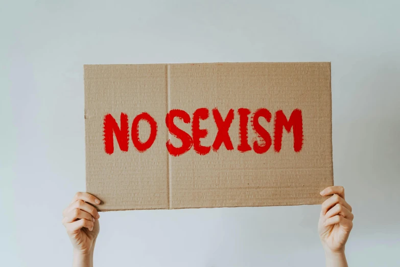 a person holding a sign that says no sexism, trending on pexels, excessivism, made of cardboard, slightly erotic, flatlay, homestuck