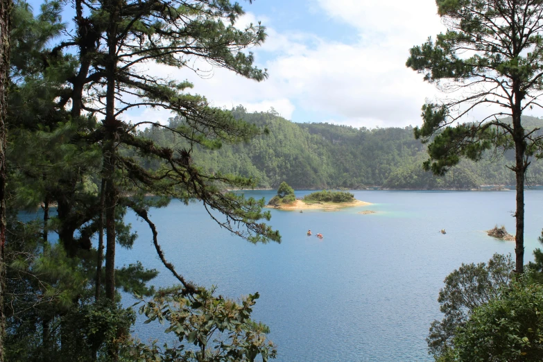 a large body of water surrounded by trees, hurufiyya, cam de leon, magical sparkling lake, avatar image