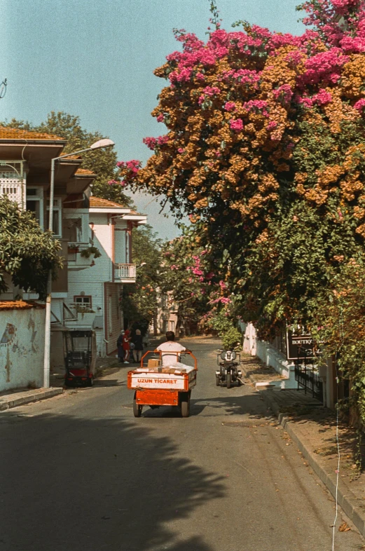 a car that is driving down a street, a colorized photo, inspired by Elsa Bleda, pexels contest winner, renaissance, bougainvillea, turkey, milkman, panoramic shot