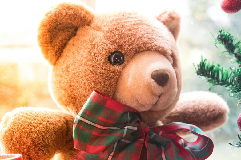 a teddy bear sitting next to a christmas tree, an album cover, pexels contest winner, afternoon sunlight, thick bow, profile image, tan