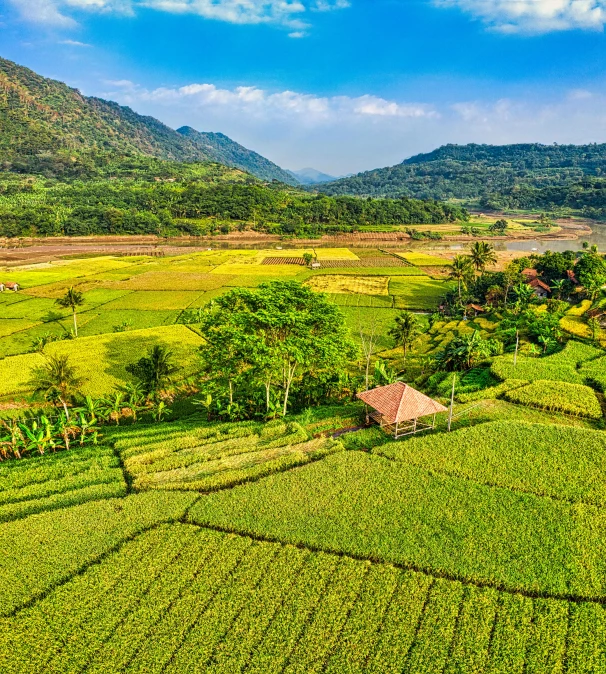 an aerial view of a rice field with mountains in the background, sumatraism, square, medium, fan favorite, 4k photo”