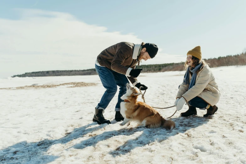 a man and woman playing with a dog in the snow, pexels contest winner, aussie, avatar image, film footage, brown