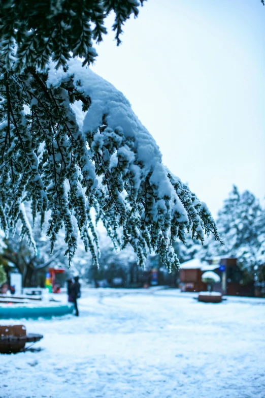 a green fire hydrant sitting in the middle of a snow covered park, by Julia Pishtar, happening, giant white tree, village square, today\'s featured photograph 4k, pictured from the shoulders up