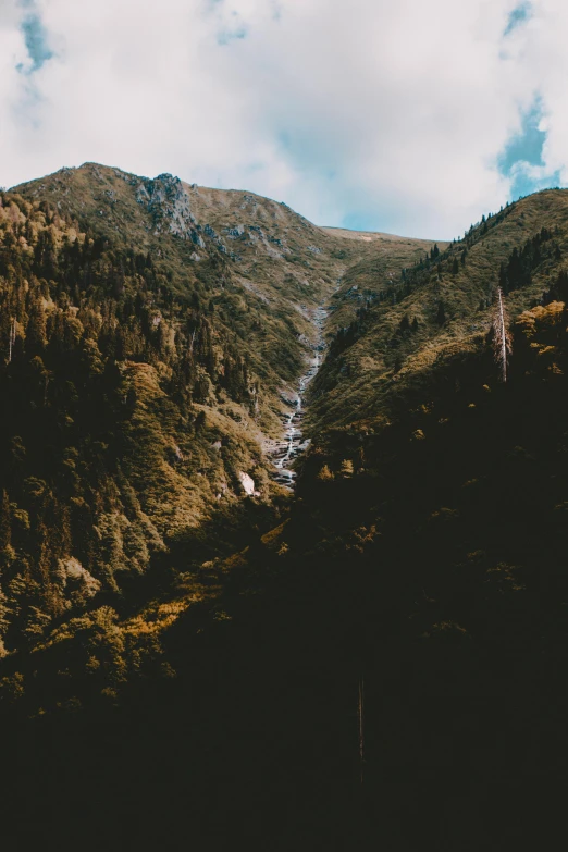 a river running through a lush green valley, a picture, unsplash contest winner, baroque, destroyed mountains, pine forests, brown, extreme panoramic