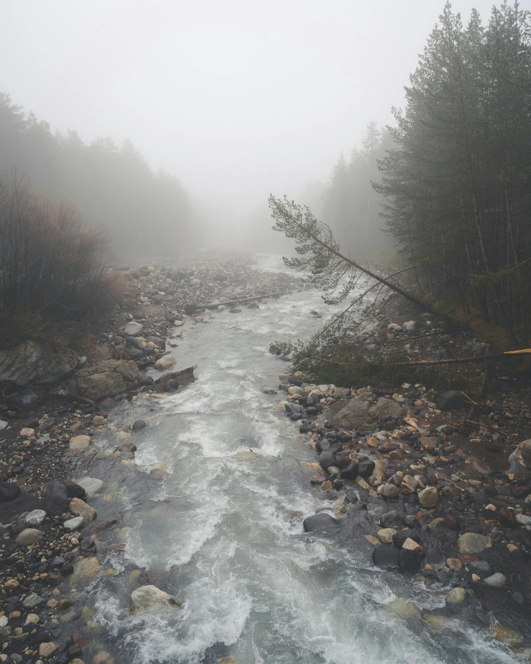 a river running through a forest on a foggy day, an album cover, unsplash contest winner, leaked photo, turbulent water, grey, dasha taran