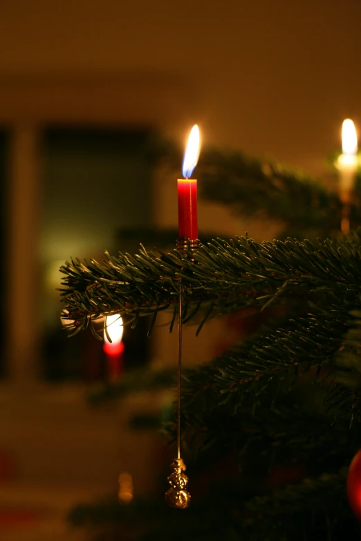 a close up of a christmas tree with lit candles, by Jesper Knudsen, multiple stories, profile image, journalism photo, battered