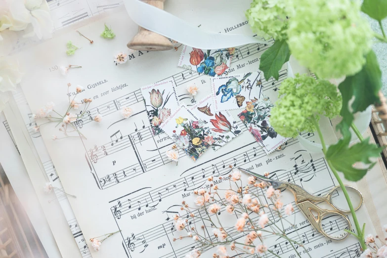 a bunch of flowers sitting on top of a sheet of music, trending on pexels, visual art, fairies and scissors, etsy stickers, seeds, botanical herbarium