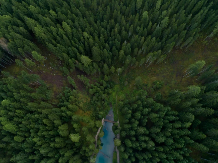 a river running through a lush green forest, an album cover, by Sebastian Vrancx, unsplash contest winner, hurufiyya, birds eye overhead perspective, whistler, alessio albi, spruce trees