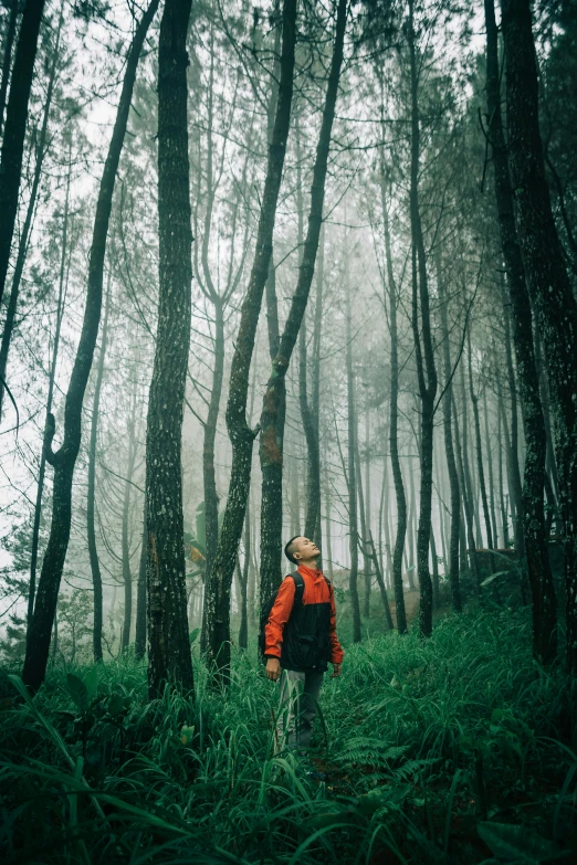 a person standing in the middle of a forest, by Basuki Abdullah, overcast mood, educational, small, outdoor