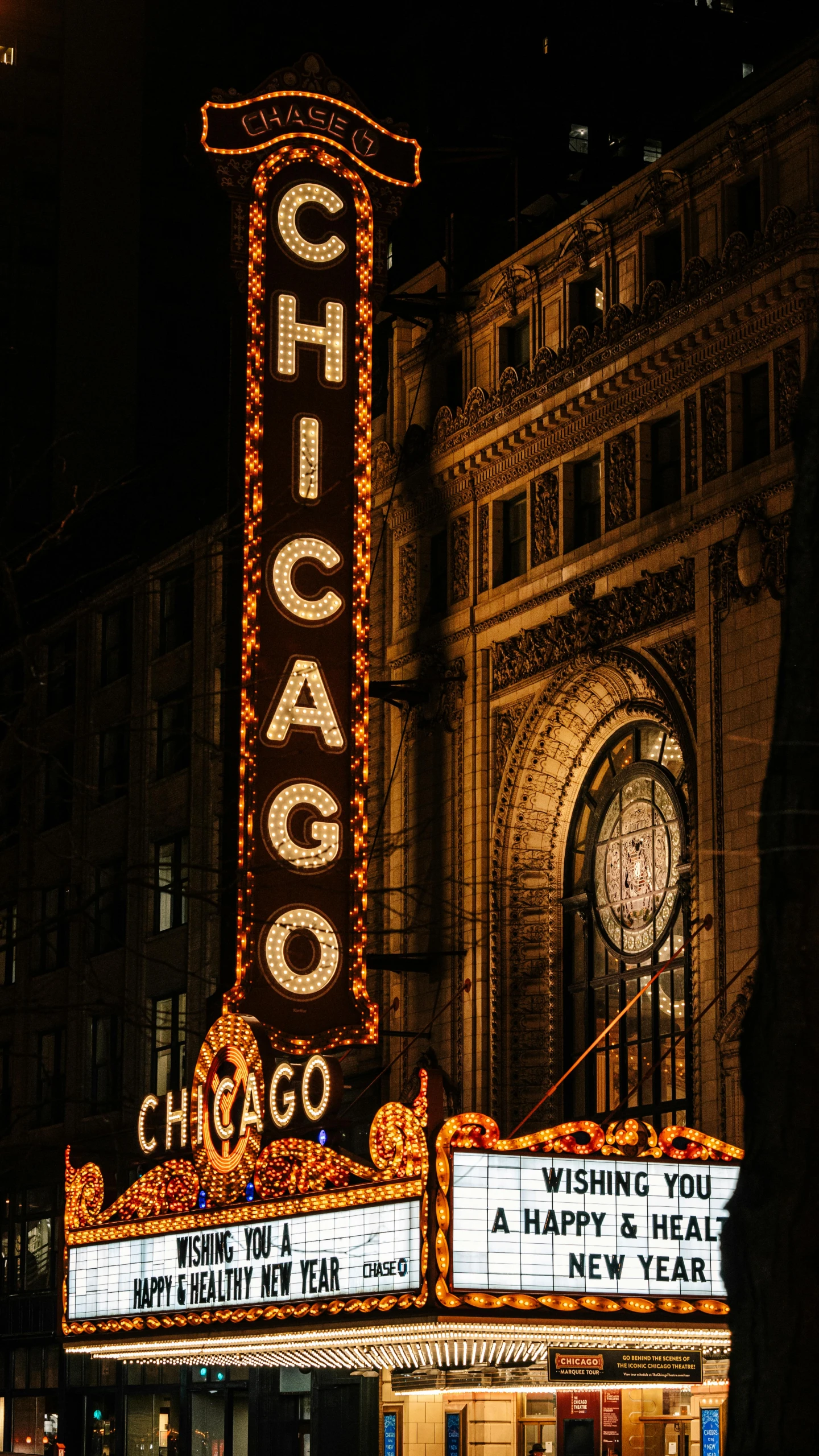 the chicago theater marquee is lit up at night, by Robbie Trevino, pexels contest winner, art nouveau, brown, fall season, portrait photo, kris kuksi