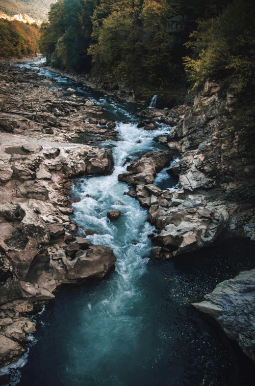 a river running through a lush green forest, an album cover, by Daniel Seghers, unsplash contest winner, rocky roads, high view, rapids, british columbia