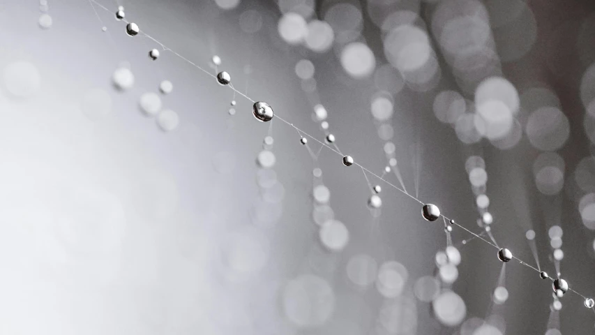 a spider web with water droplets on it, inspired by Cerith Wyn Evans, unsplash, minimalism, glittering silver ornaments, hasselblad film bokeh, ilustration, grey and silver