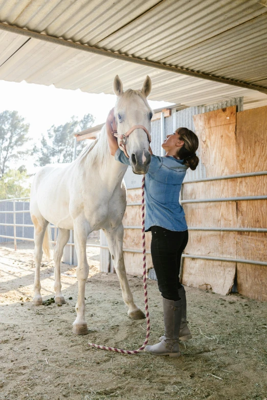 a woman standing next to a white horse, by Gwen Barnard, trending on unsplash, horse laying down, maintenance, back arched, liam brazier and nielly