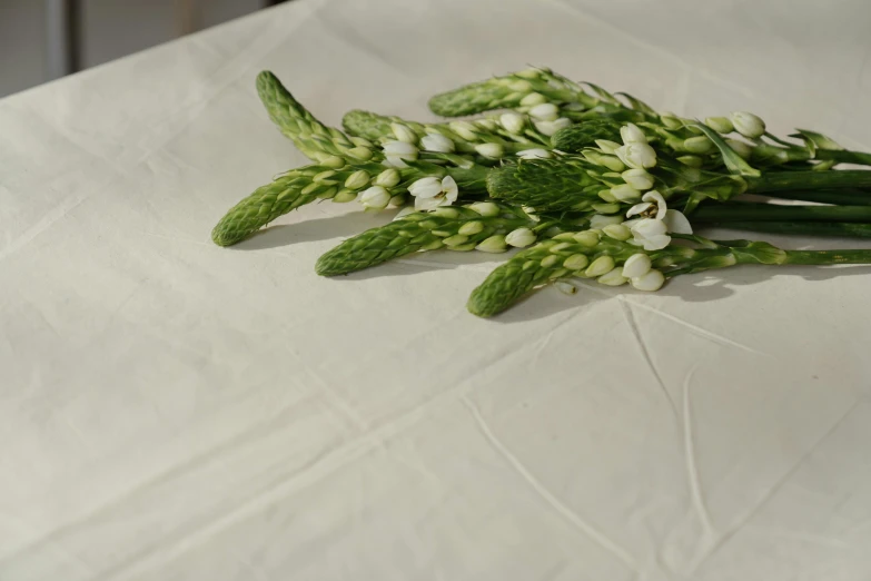 a bunch of white flowers sitting on top of a table, private press, tablecloth, asparagus, detail shot, subtle detailing