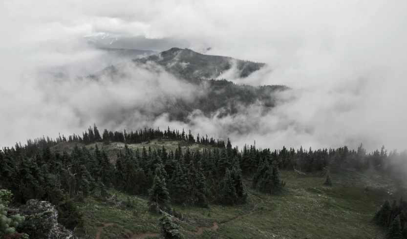 a view from the top of a mountain on a cloudy day, by Jessie Algie, pexels contest winner, majestic forest grove, grey, multiple stories, clearing. full shot
