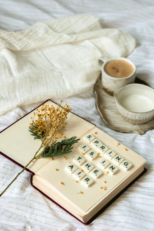 a book sitting on top of a bed next to a cup of coffee, a cross stitch, thumbnail, dried flowers, saying, made of all white ceramic tiles