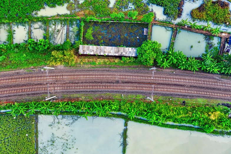 a train traveling through a lush green countryside, an album cover, unsplash, photorealism, subsiding floodwaters, dji top down view, jia ruan, vegetated roofs