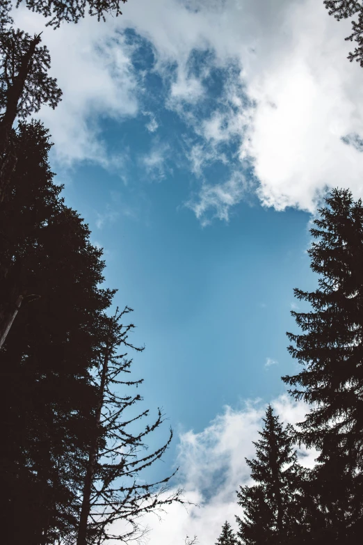 a view of the sky through the trees, by Sebastian Spreng, unsplash, multiple stories, tourist photo, cloudless sky, high quality image