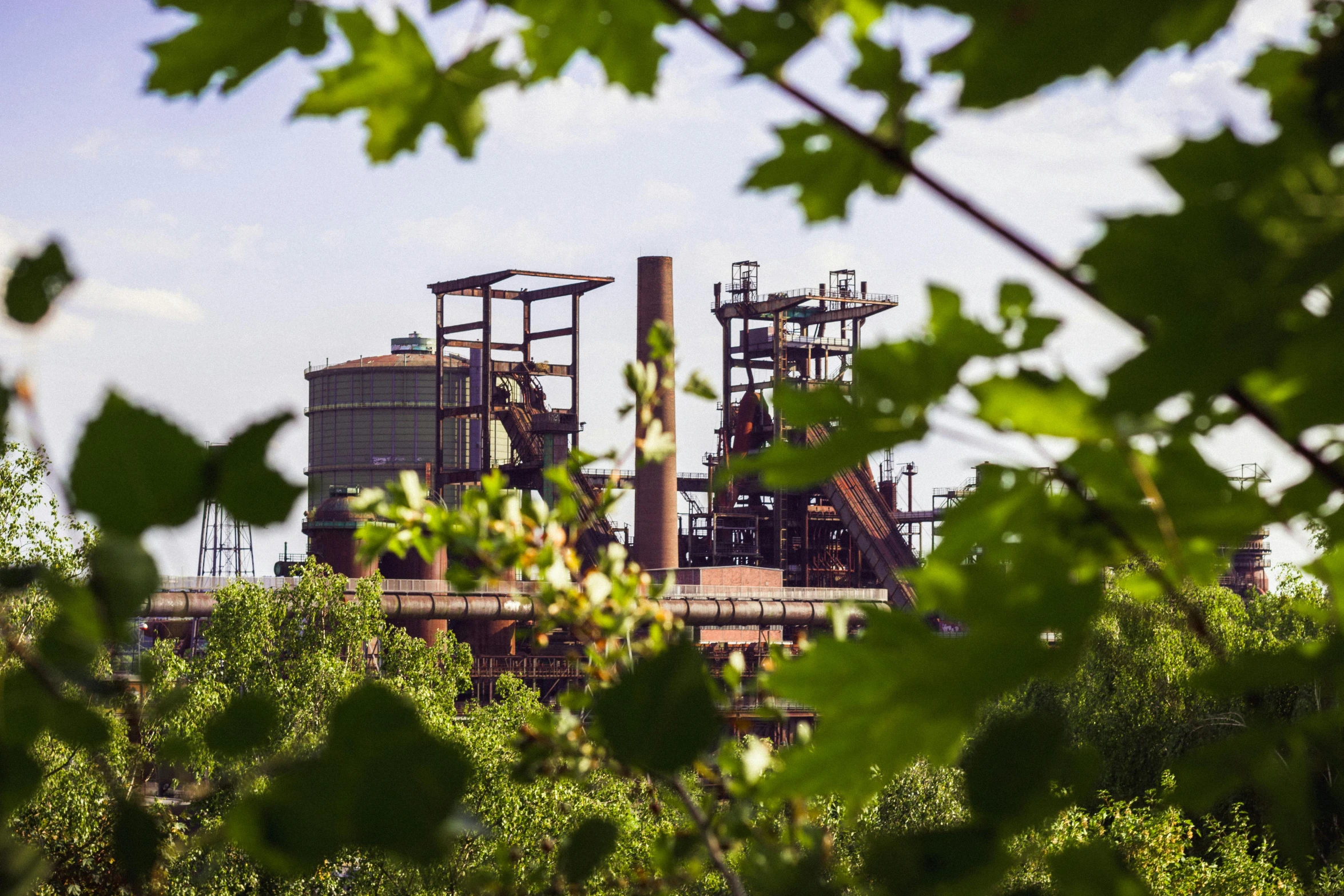 a group of people standing on top of a lush green field, abandoned steelworks, tree and plants, a photograph of a rusty, worksafe. instagram photo