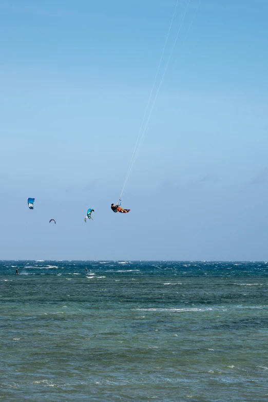 a group of people flying kites over the ocean, aruba, slide show, square, amanda lilleston