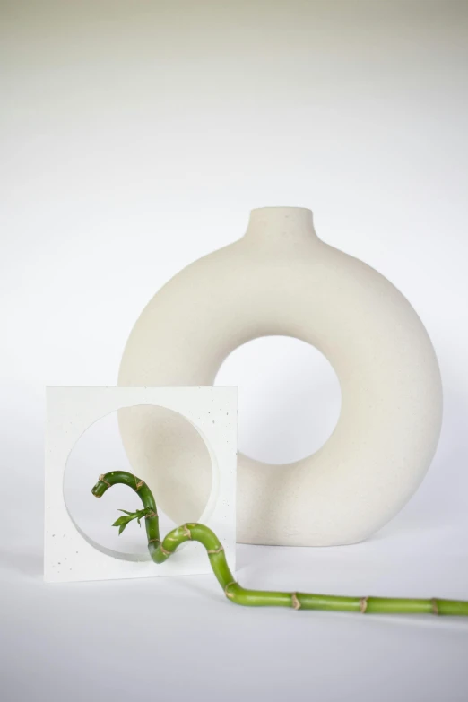 a white vase sitting next to a green plant, an abstract sculpture, inspired by Isamu Noguchi, concrete art, shaped like torus ring, full subject in frame and view, singularity sculpted �ー etsy, a large