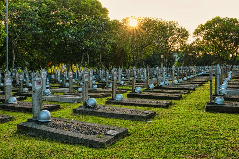 a cemetery filled with lots of tombstones and trees, a photo, by Alexander Fedosav, shutterstock, sri lanka, sun at dawn, rows of canteen in background, war photo