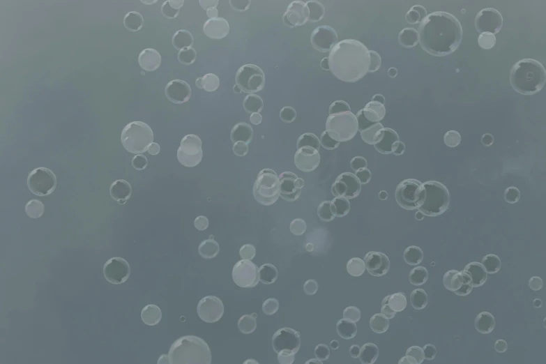 a bunch of bubbles floating in the air, a microscopic photo, inspired by Vija Celmins, pexels, conceptual art, grayish, webgl render, background image, gray