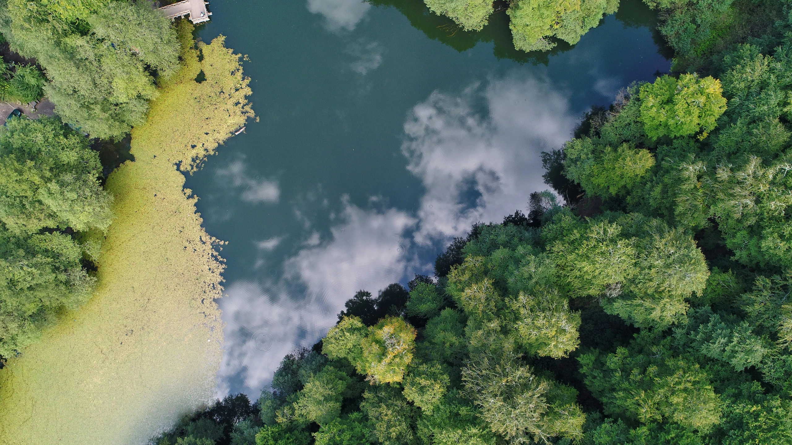 a large body of water surrounded by trees, by Jan Rustem, pexels contest winner, renaissance nimbus overhead, closeup 4k, calmly conversing 8k, digitally enhanced