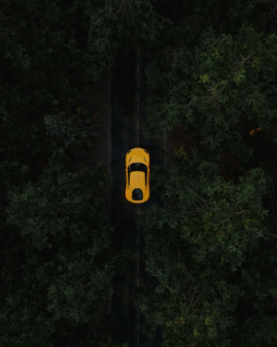 a yellow car driving down a road surrounded by trees, lit from above, porsche, portrait 8 k, 8 k cinematic