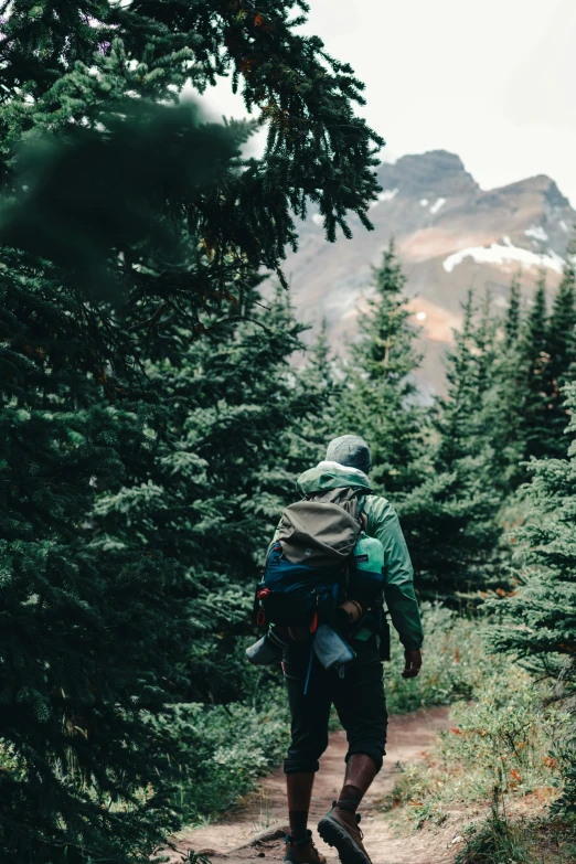 a person with a backpack walking down a trail, by Jessie Algie, unsplash contest winner, spruce trees on the sides, back portrait of a rugged ranger, to