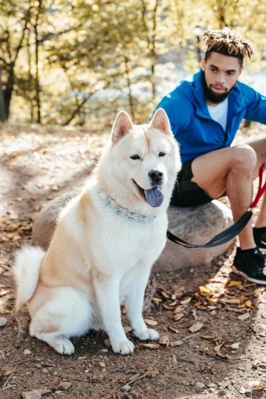 a man sitting on a log with his dog, by Julia Pishtar, trending on unsplash, renaissance, wearing steel collar, shiba figurine, sporty, blue