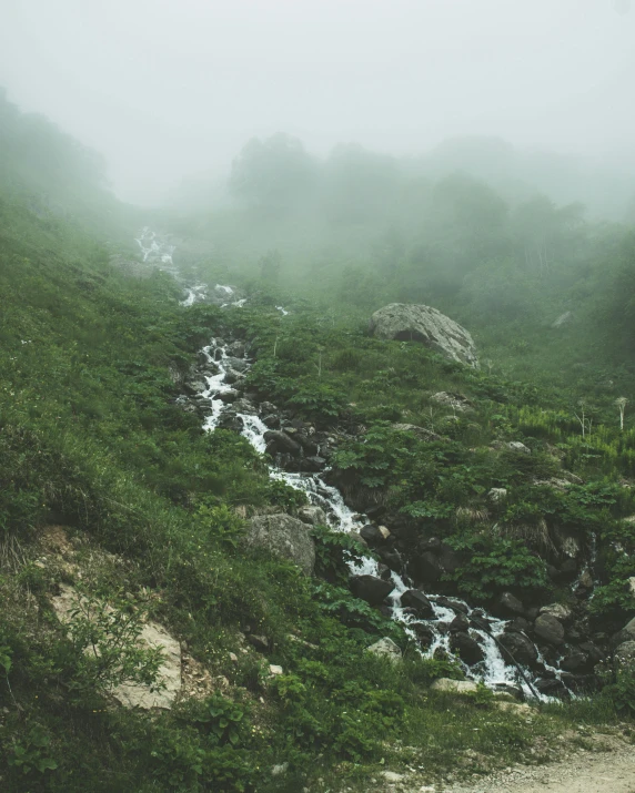 a stream running through a lush green hillside, an album cover, inspired by Elsa Bleda, pexels contest winner, romanticism, white fog, low quality photo, carnal ) wet, leaked photo