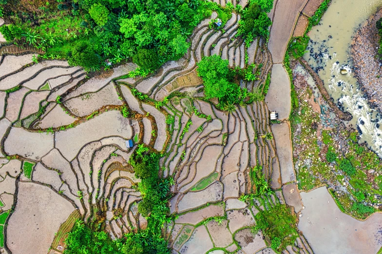 a bird's eye view of a rice field, pexels contest winner, landslides, thumbnail, ornately dressed, grey