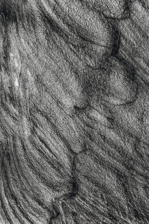 a black and white drawing of an owl, a charcoal drawing, inspired by Matthijs Maris, detail texture, organic swirling igneous rock, photograph from above, rough wood