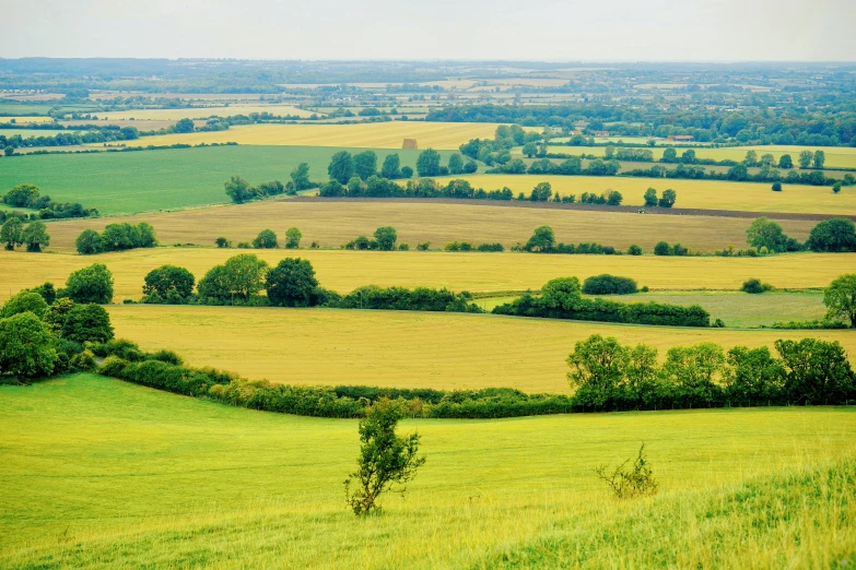 a view of the countryside from the top of a hill, by Peter Churcher, shutterstock, some yellow green and blue, cranbow jenkins, instagram photo, slide show