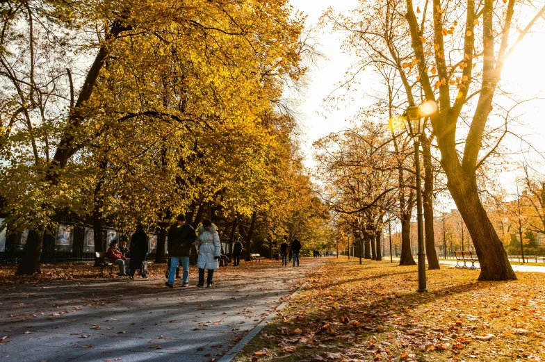 a group of people walking down a sidewalk in a park, by Niko Henrichon, pexels contest winner, golden leaves, greek, afternoon light, thumbnail