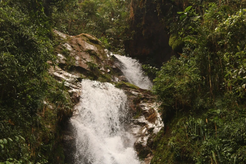 a waterfall in the middle of a lush green forest, by Alejandro Obregón, hurufiyya, avatar image