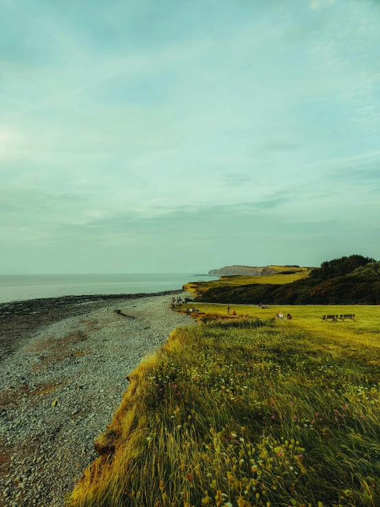 a grassy field next to a body of water, by Rachel Reckitt, unsplash, near the sea, farming, rocky beach, low quality photo