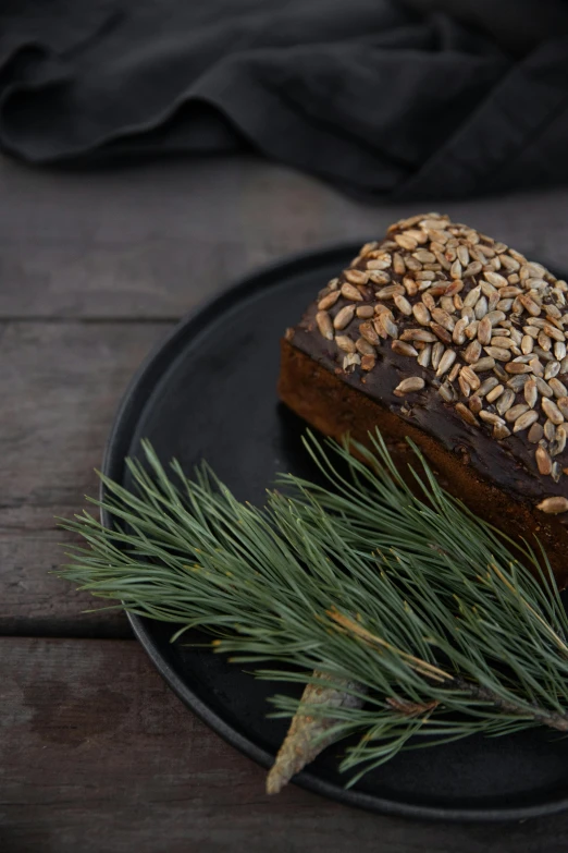 a piece of cake sitting on top of a black plate, by Daarken, unsplash, hurufiyya, brown bread with sliced salo, pine tree, seeds, full frame image