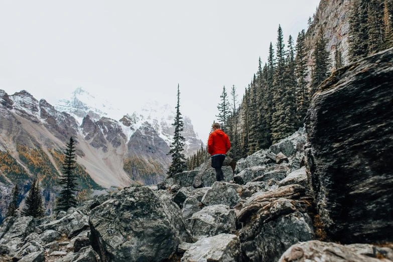 a person in a red jacket standing on a rocky mountain, by Jessie Algie, pexels contest winner, banff national park, avatar image, rocky roads, against the backdrop of trees