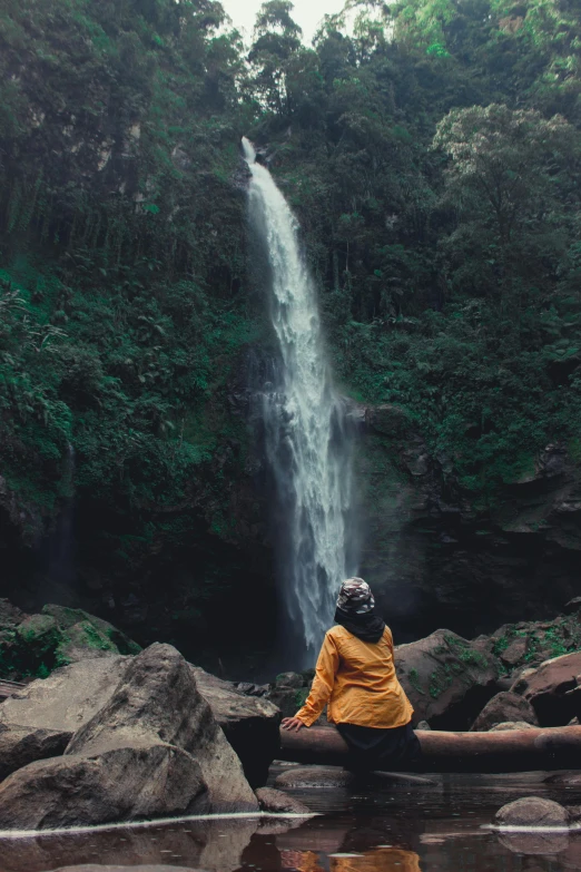 a person sitting on a log in front of a waterfall, sumatraism, facing away from camera, panoramic shot, she's sad, 1km tall